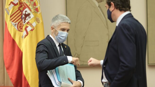 El ministro del Interior, Fernando Grande-Marlaska. El ministro del Interior, Fernando Grande-Marlaska.