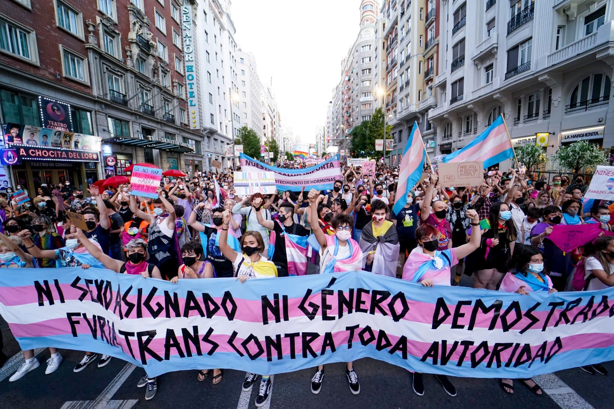 Cientos de personas durante una manifestación centrada en el colectivo trans en Madrid.