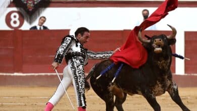 ¿Por qué Enrique Ponce abandona el mundo de los toros?