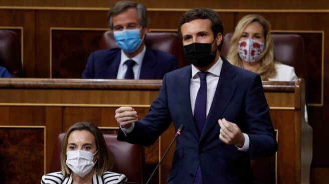 Pablo Casado, en el Congreso.