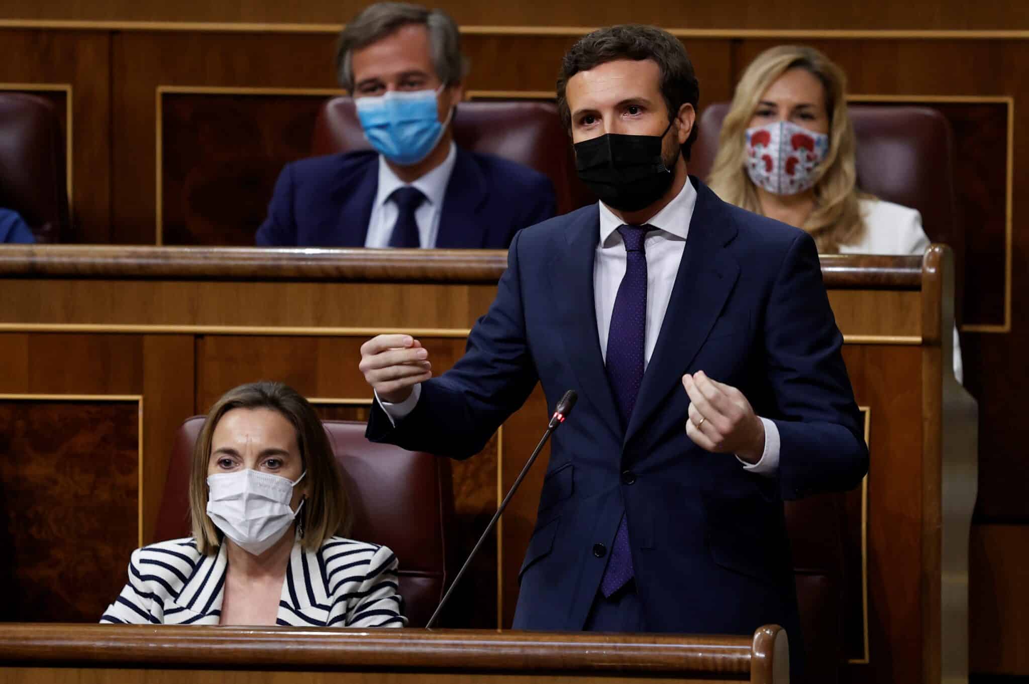 Pablo Casado, en el Congreso.