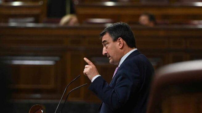 El portavoz del PNV en el Congreso, Aitor Esteban. El portavoz del PNV en el Congreso, Aitor Esteban.