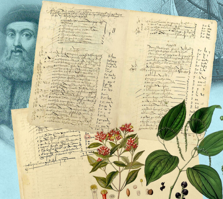 Los fármacos de la vuelta al mundo de Magallanes, un botiquín de hace 500 años