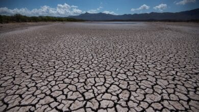 El BCE cifra en 70.000 millones las pérdidas de 41 bancos de la zona euro por el cambio climático