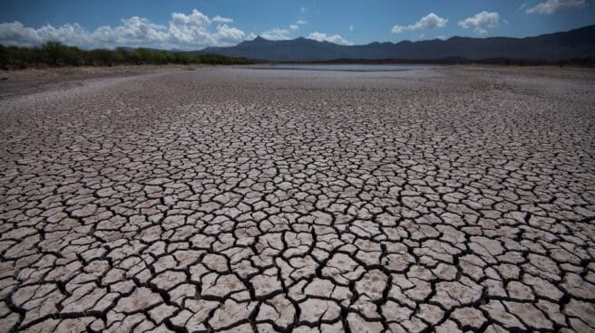 La UE, América Latina y el Caribe, una asociación necesaria en postpandemia Vista general de las afectaciones por la sequía, el 15 de junio de 2021, en la comunidad de Rincón Colorado, en el municipio de General Cepeda, en Coahuila, México