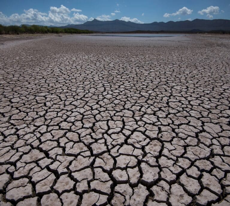 El BCE cifra en 70.000 millones las pérdidas de 41 bancos de la zona euro por el cambio climático
