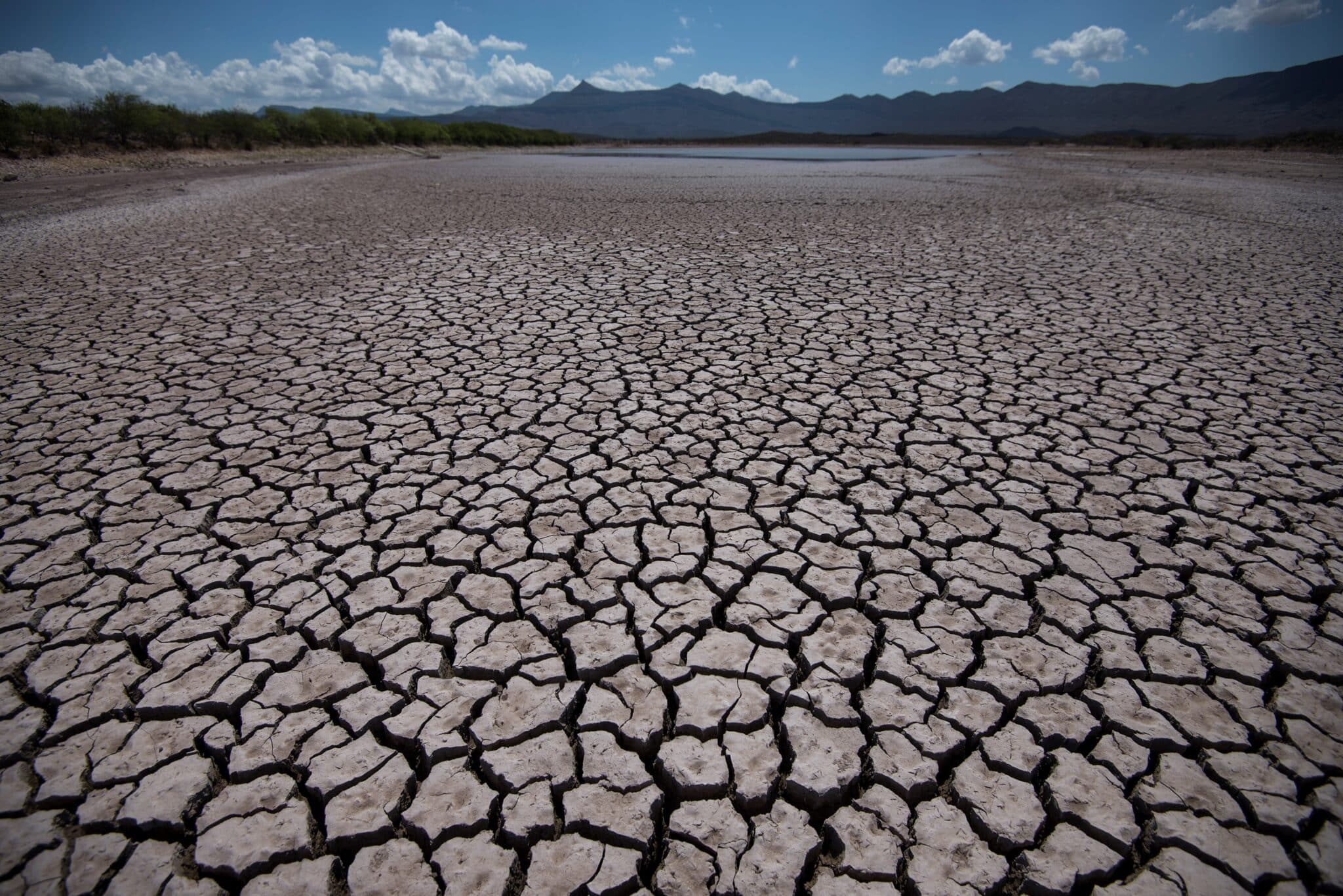 Vista general de las afectaciones por la sequía, el 15 de junio de 2021, en la comunidad de Rincón Colorado, en el municipio de General Cepeda, en Coahuila, México