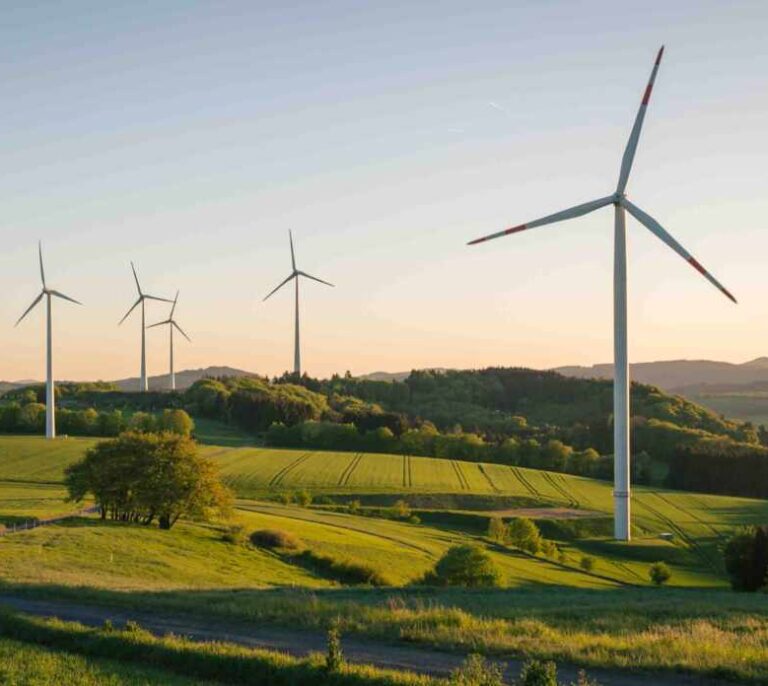 Innovación y compromiso social para una revolución verde