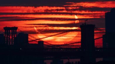 Fotogalería: así se ha visto el eclipse anular de Sol