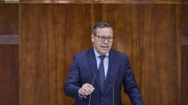 El portavoz del PP en la Asamblea de Madrid, Alfonso Serrano.