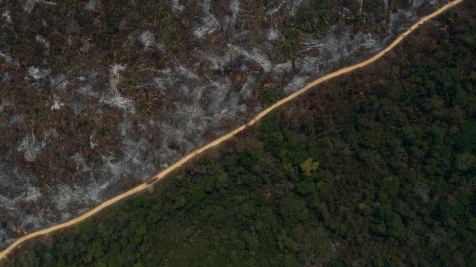 Vista aérea del área quemada después de un incendio en la selva amazónica en agosto de 2020.