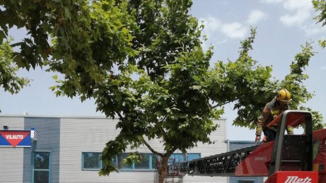 Los bomberos trabajan para extinguir un incendio en Vilanova. Los bomberos trabajan para extinguir un incendio en Vilanova.