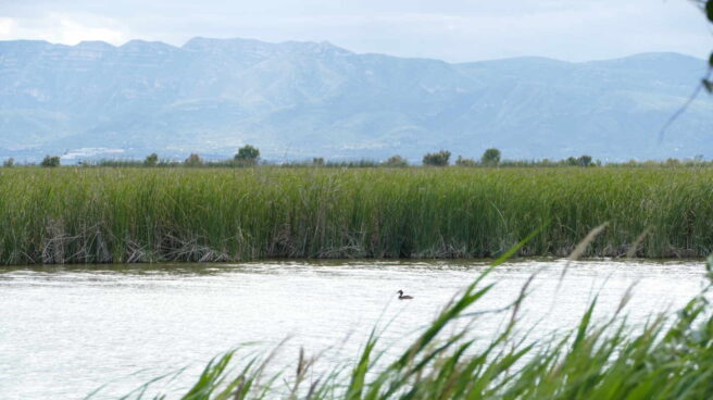 proteccion-biodiversidad-agbar Agbar ofrece soluciones innovadoras en torno a la gestión sostenible del agua, de los recursos naturales y de la salud ambiental para la agricultura, la industria y las ciudades.