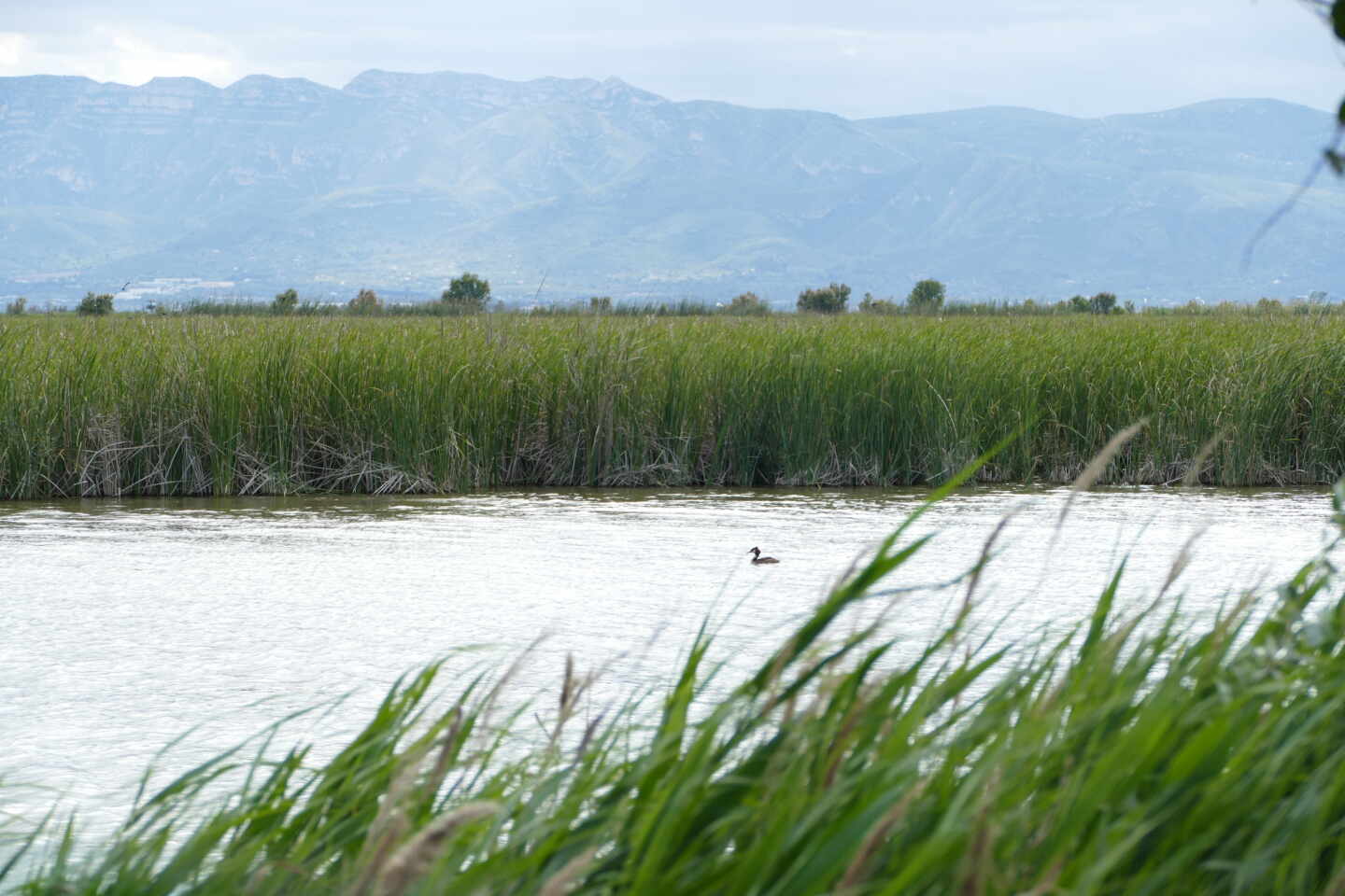 Agbar ofrece soluciones innovadoras en torno a la gestión sostenible del agua, de los recursos naturales y de la salud ambiental para la agricultura, la industria y las ciudades.