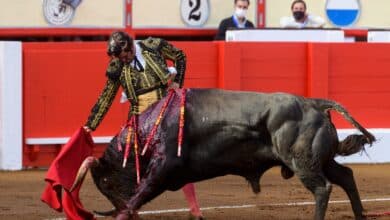 Los toros interesan a once millones de españoles, según un estudio del Ministerio de Cultura