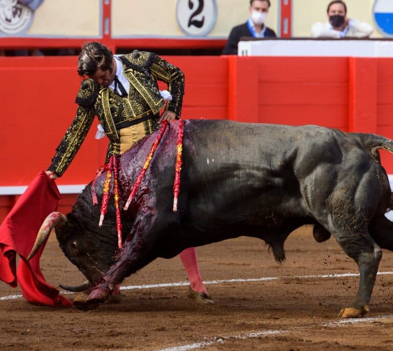 Los toros interesan a once millones de españoles, según un estudio del Ministerio de Cultura