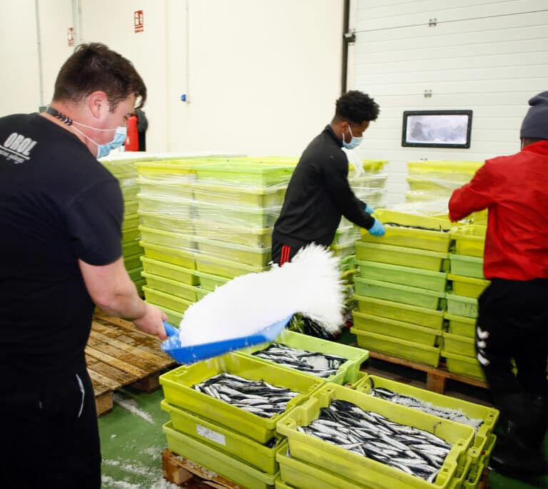 Europa recorta las cuotas de pesca de España para 2022