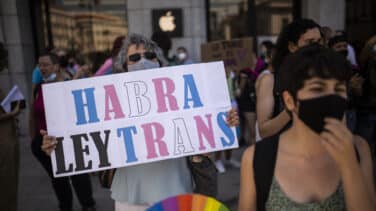 Hablan los psicólogos: "La ley Trans no protege la infancia. Es subjetividad frente a ciencia"