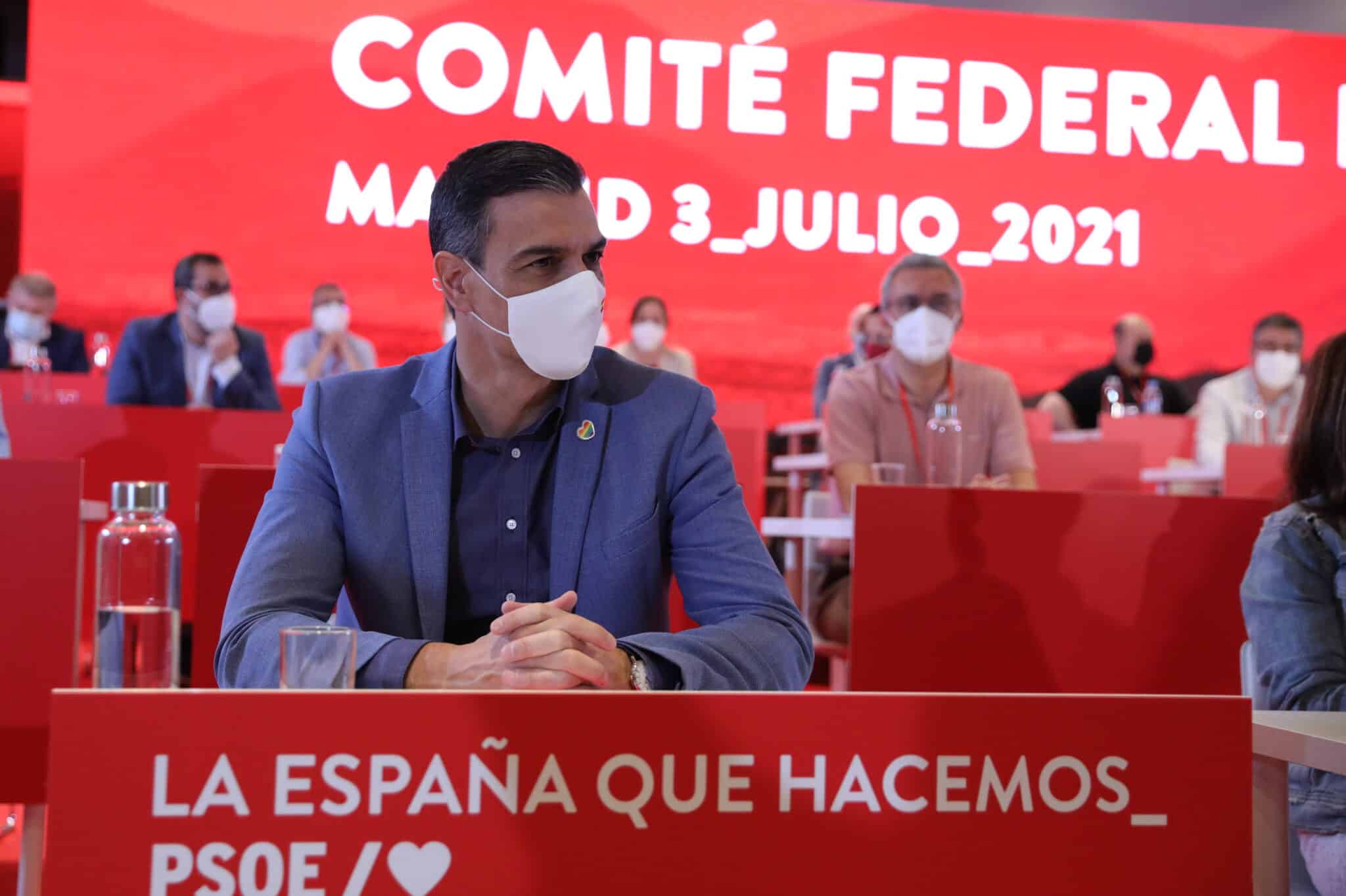 Pedro Sánchez, en el Comité Federal del PSOE.