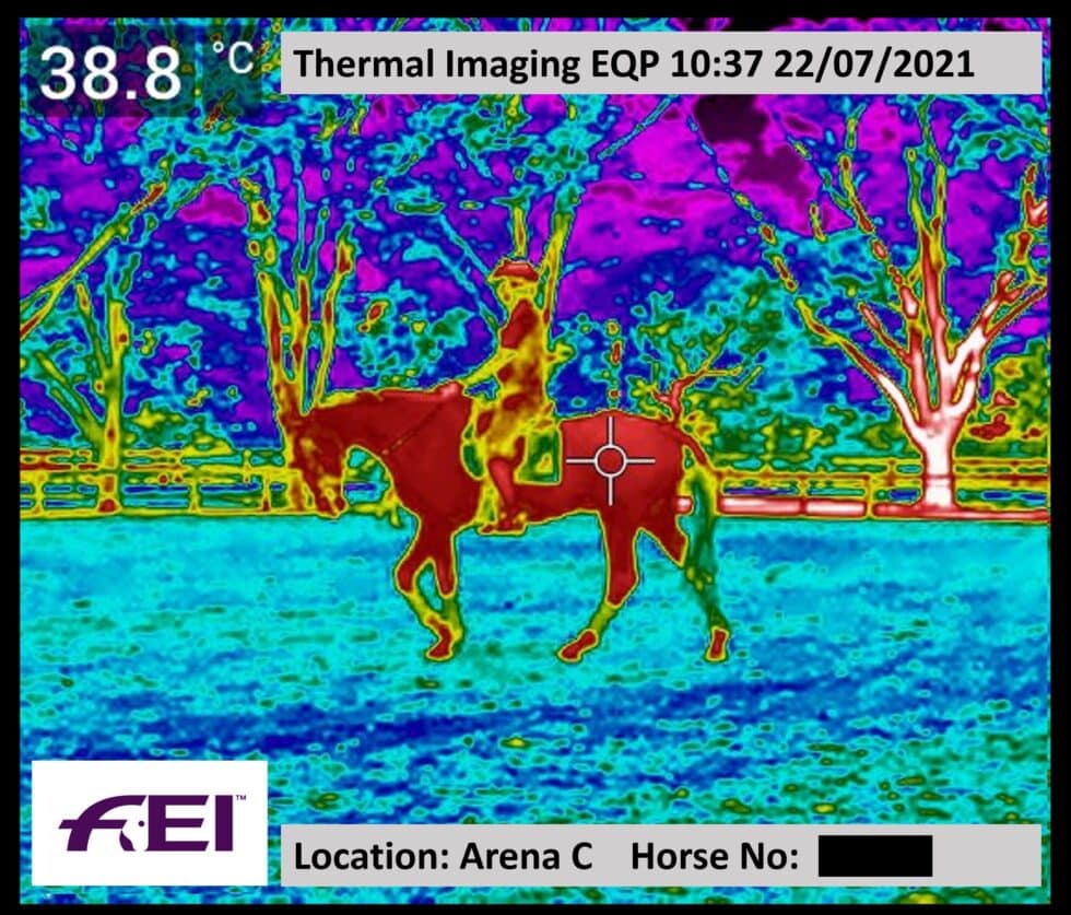 Ejemplo de la monitorización de la temperatura de los caballos con cámaras termográficas en los JJOO de Tokio.