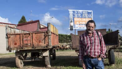 Vino de crianza contra la España vacía