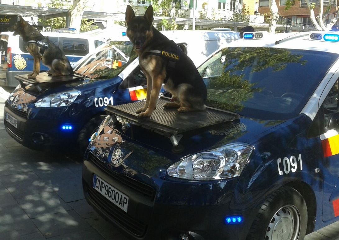 Perros adiestrados por la Policía Nacional.
