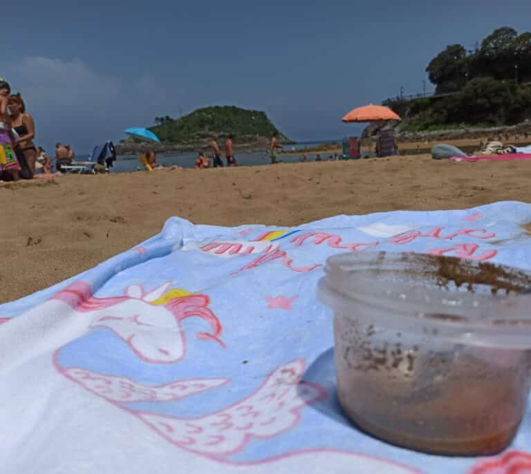 Puré de playa