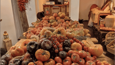 El Colmado del Tomate, más allá del kumato o del cherri