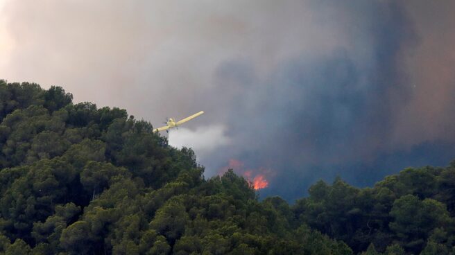 Incendio forestal en Santa Coloma de Queralt (Tarragona).