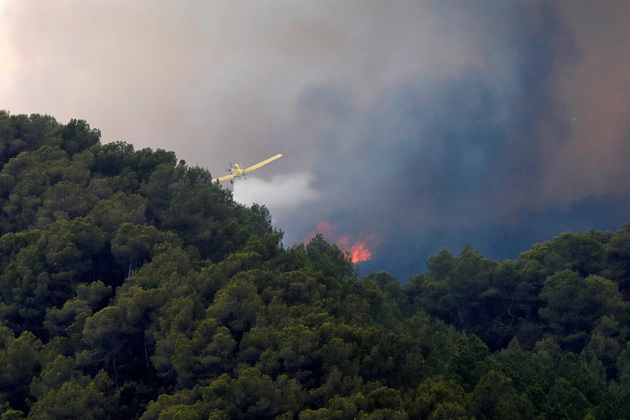 Incendio forestal en Santa Coloma de Queralt (Tarragona).