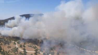 Declarado un incendio en Alcalá de los Gazules (Cádiz) que moviliza a 50 efectivos y cuatro helicópteros