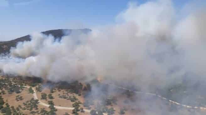 Declarado un incendio en Alcalá de los Gazules (Cádiz)