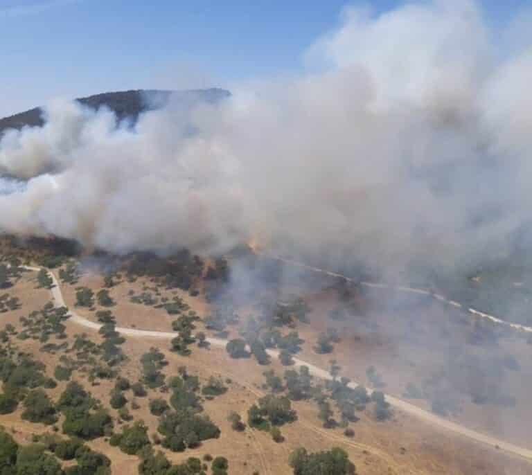 Declarado un incendio en Alcalá de los Gazules (Cádiz) que moviliza a 50 efectivos y cuatro helicópteros