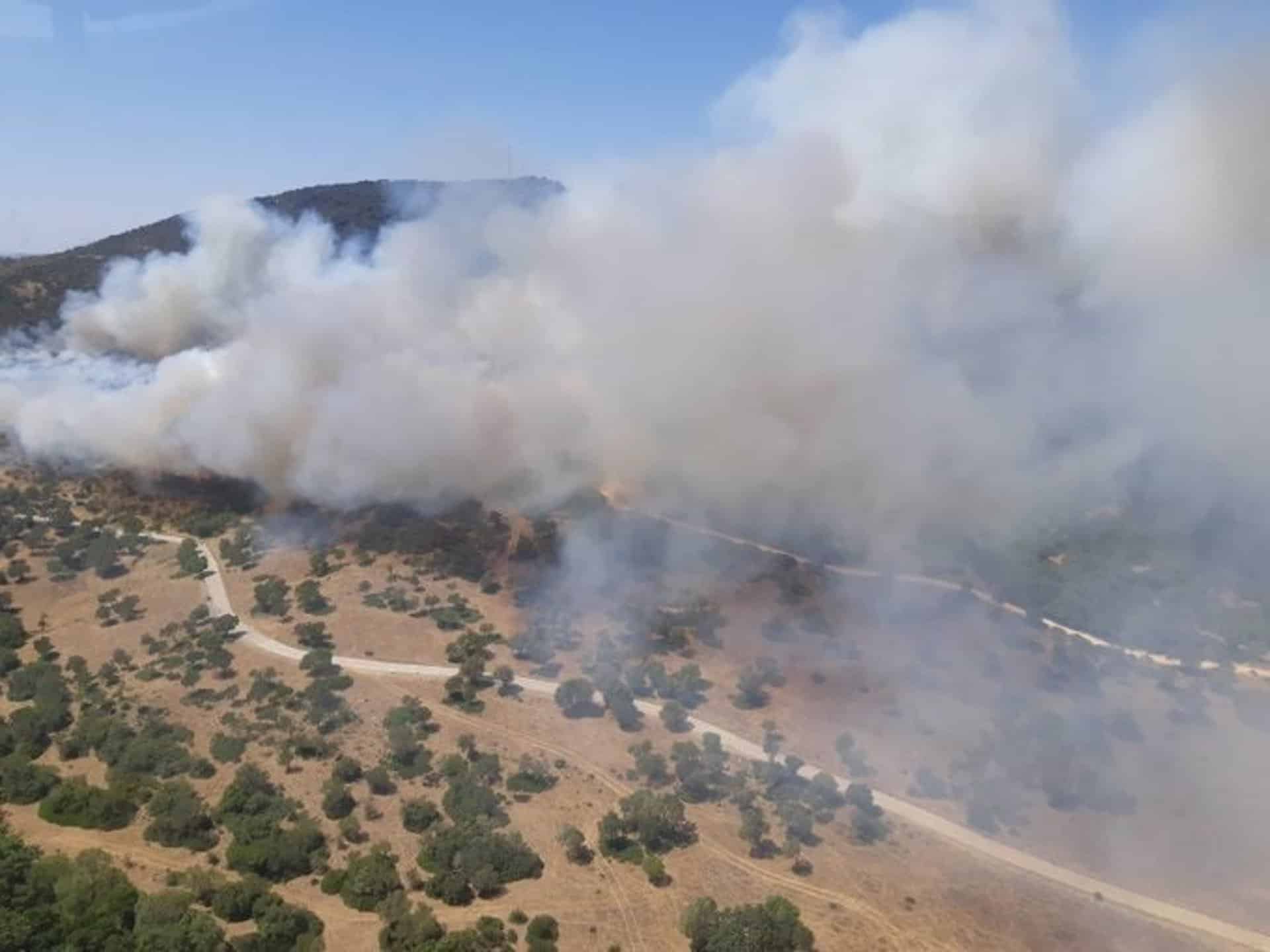 Declarado un incendio en Alcalá de los Gazules (Cádiz)