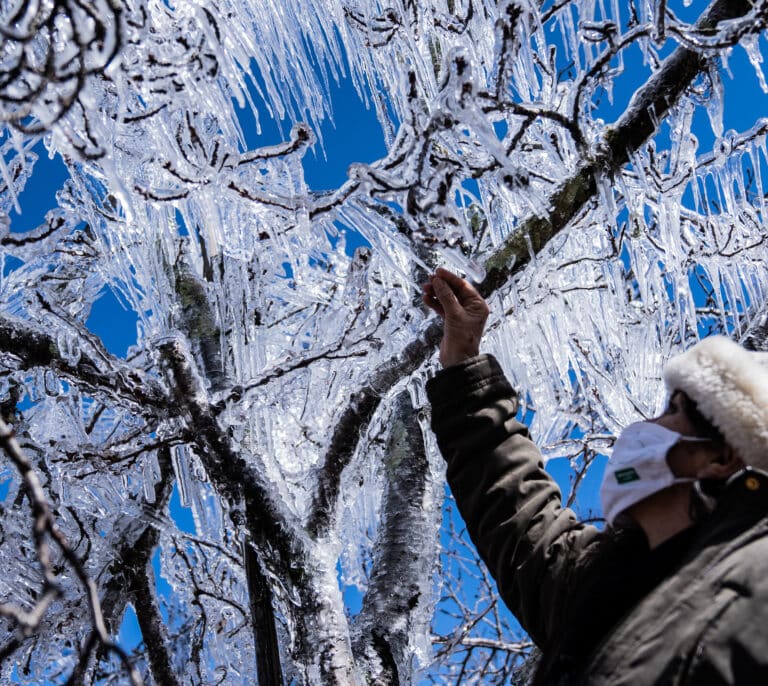 El sur de Brasil se tiñe de blanco por una nevada histórica