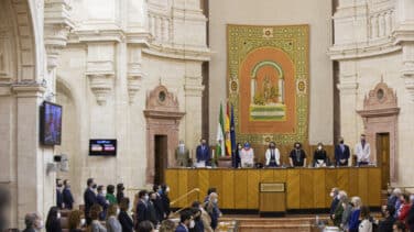 Una rata provoca el caos en el Parlamento andaluz