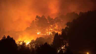 Declarada la alerta por riesgo de incendios en El Hierro, La Gomera, La Palma, Tenerife y Gran Canaria