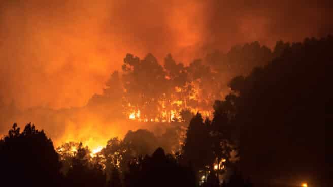 Archivo - Alerta por incendios en Canarias