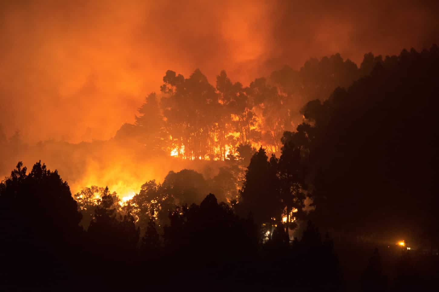 Declarada la alerta por riesgo de incendios en El Hierro, La Gomera, La Palma, Tenerife y Gran Canaria