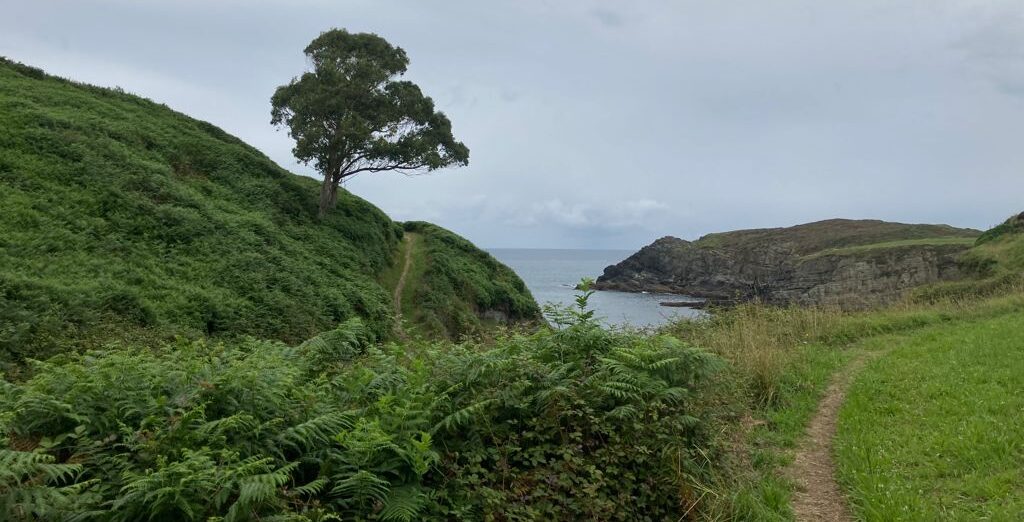 Asturias, ruta naviega