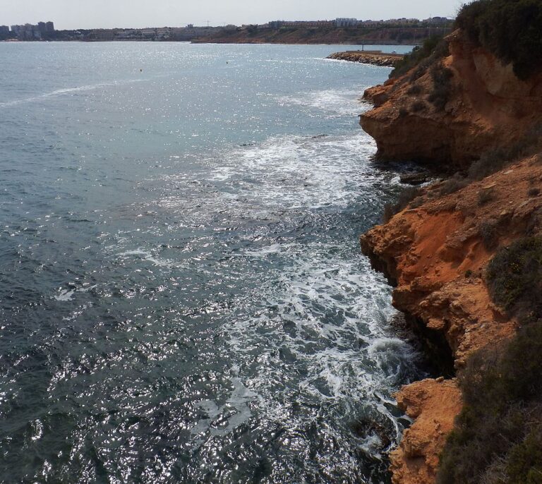 Un hombre muere ahogado tras lanzarse al agua para intentar salvar a su perro en Alicante