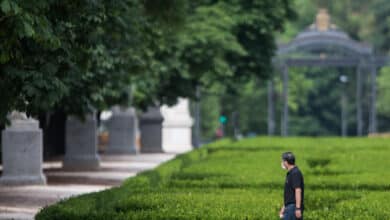 El Retiro y ocho parques de Madrid mantendrán zonas balizadas tras activarse la alerta amarilla por rachas de viento