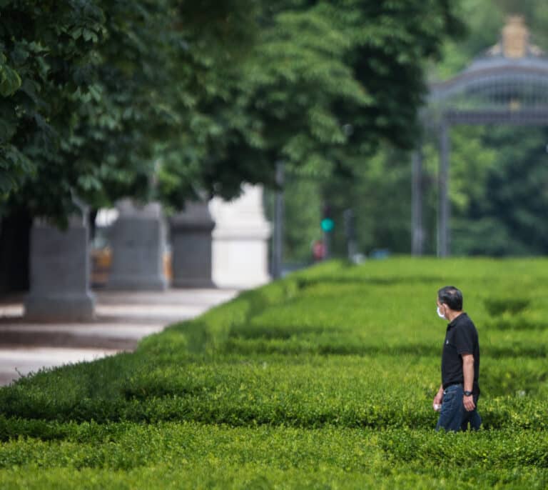 El Retiro y ocho parques de Madrid mantendrán zonas balizadas tras activarse la alerta amarilla por rachas de viento