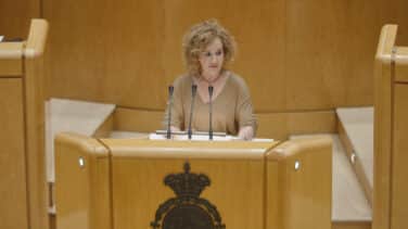 Vox insta a Sánchez a convocar elecciones si no sabe gestionar la política energética
