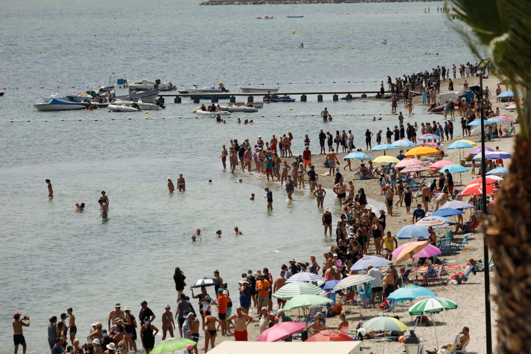 Cadena humana en defensa del Mar Menor.