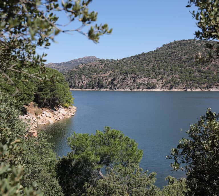 Matorral y pino bajo, la mayor parte de la vegetación afectada por el incendio en el Pantano de San Juan