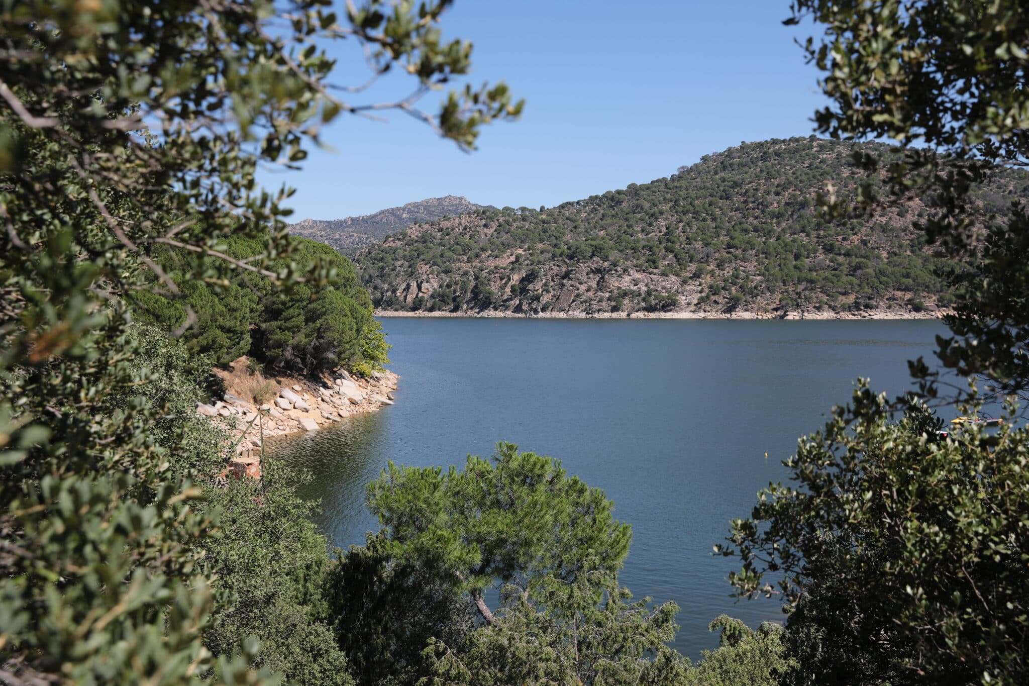 Vistas del pantano de San Juan y su vegetación.