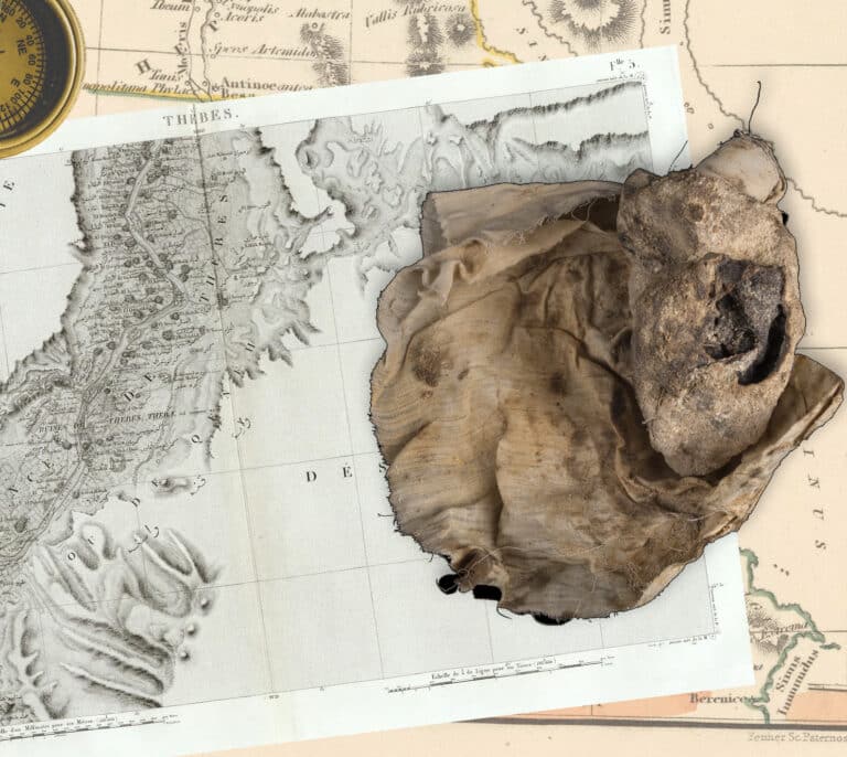 Los latidos momificados del gran visir