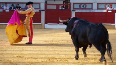Javier Cortés recibe una cornada muy grave en el glúteo en Linares