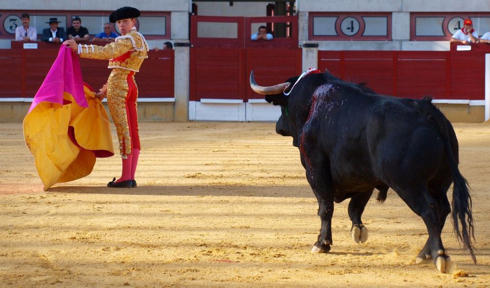 Javier Cortés recibe una cornada muy grave en el glúteo en Linares